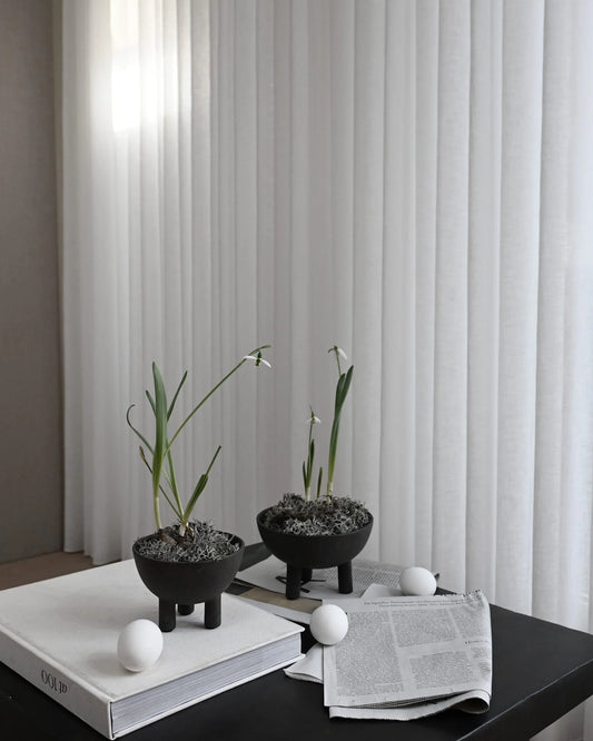 Duck Bowl Big Coffee