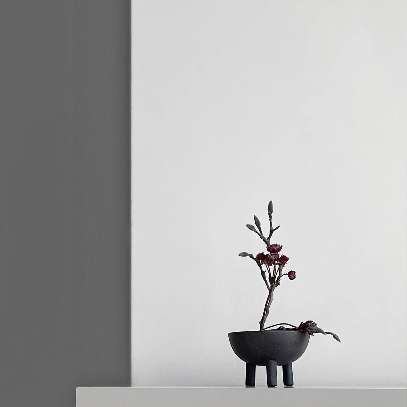 Duck Bowl Big Coffee