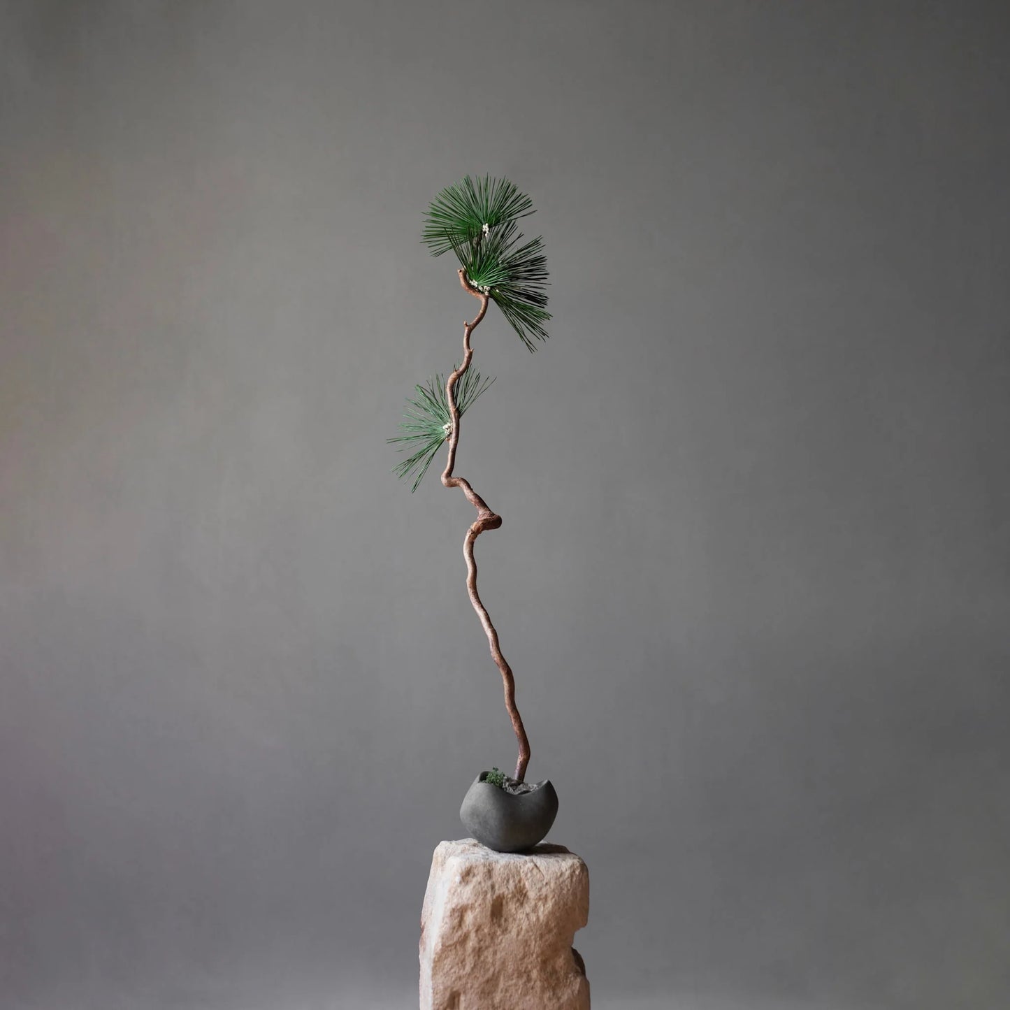 Curve Bowl Mini Dark Grey