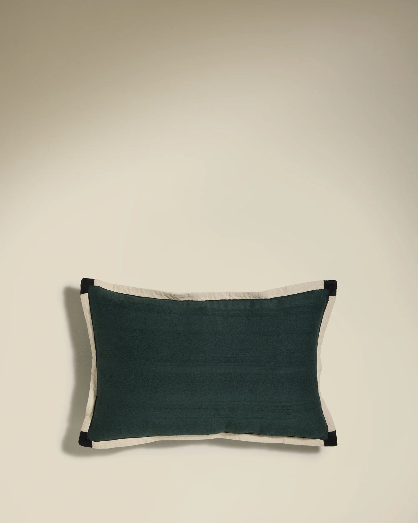 2-in-1 Sequence Cushion