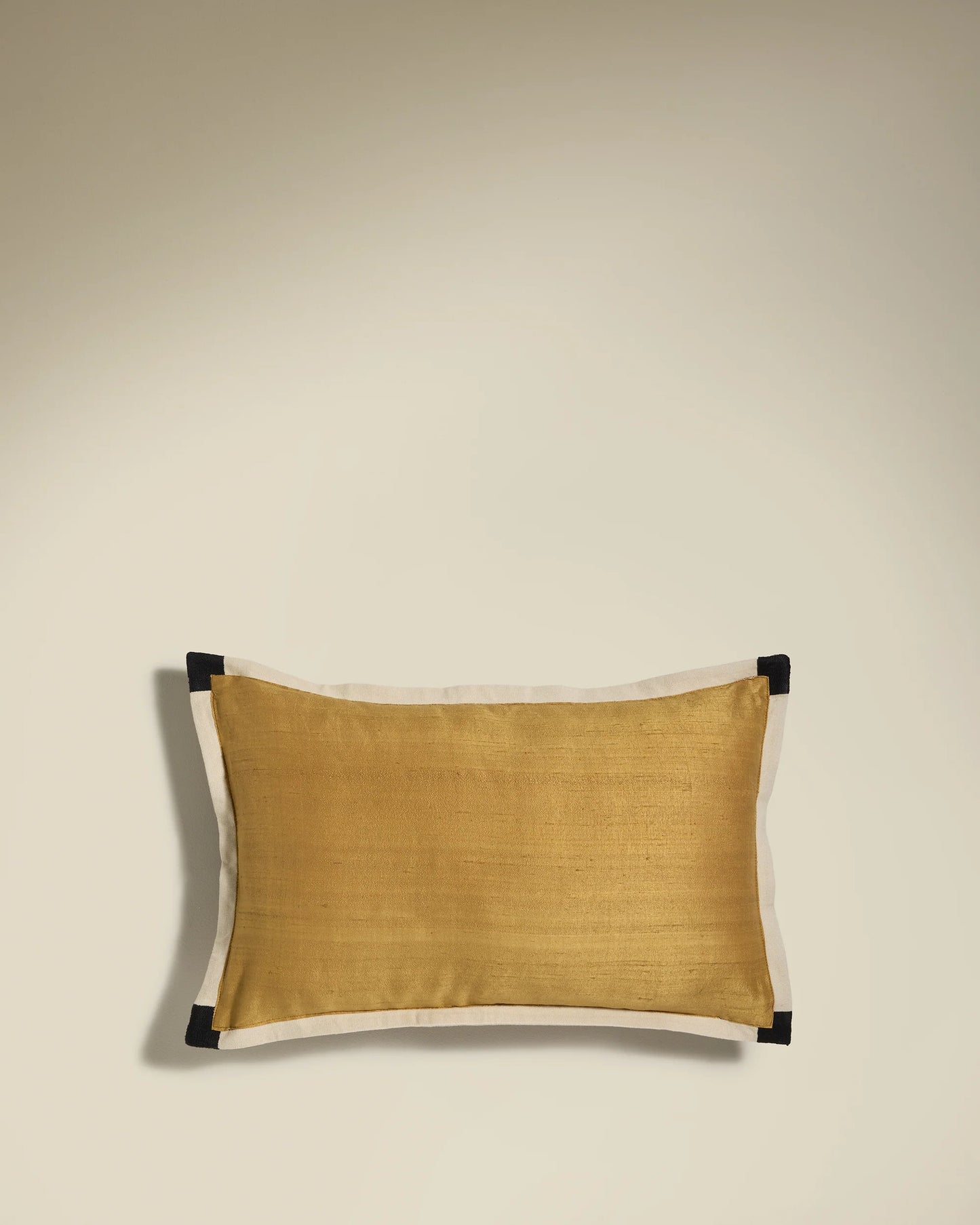 2-in-1 Sequence Cushion