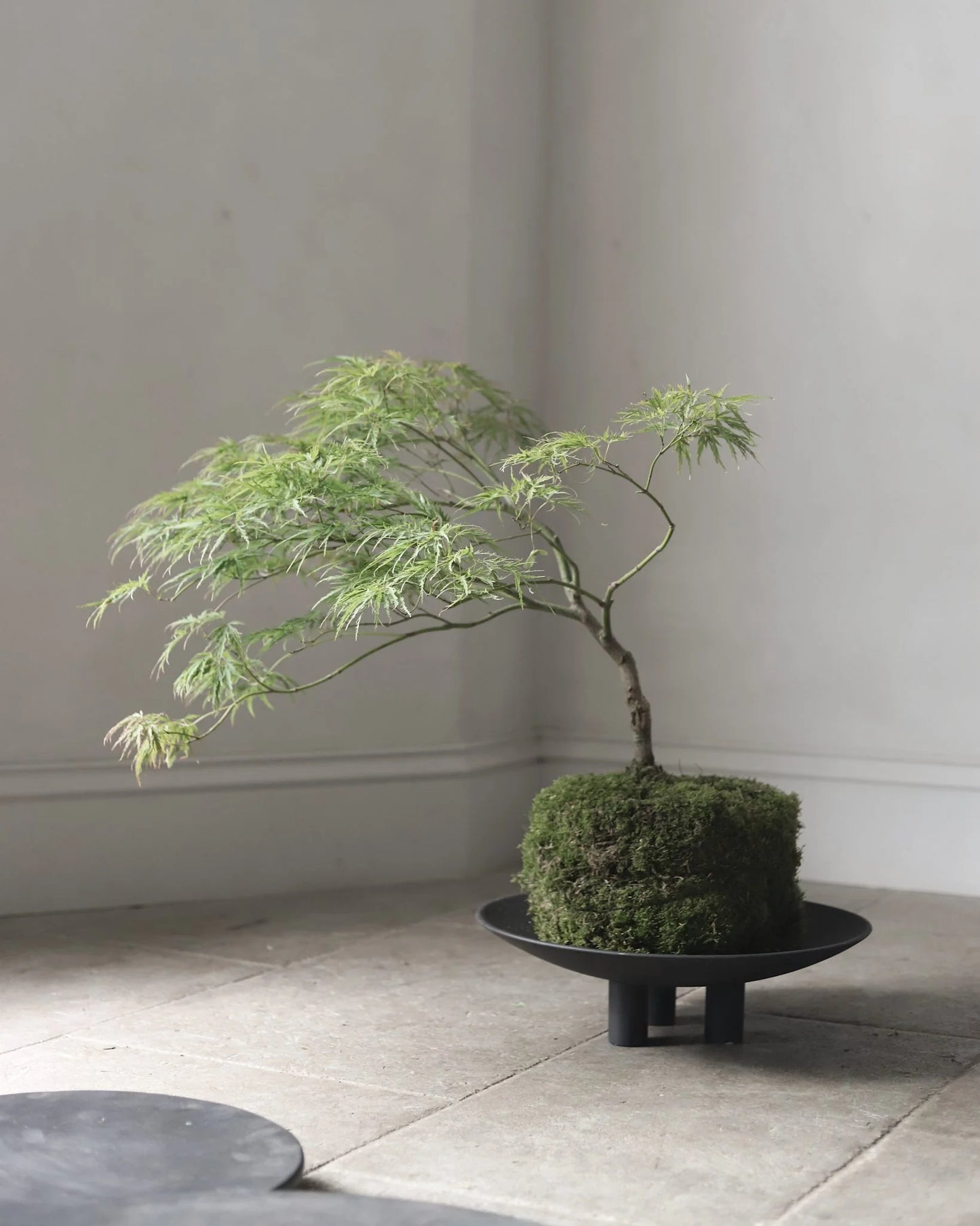 Duck Plate Big Coffee